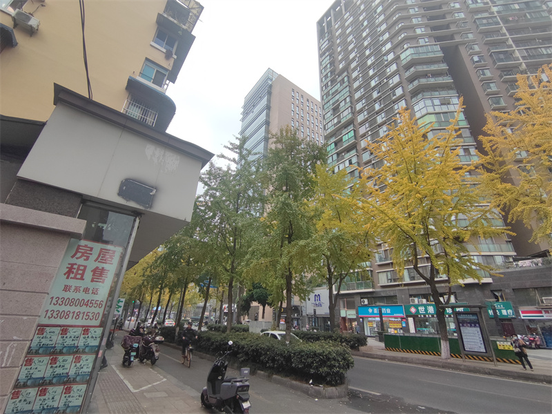 外立面
